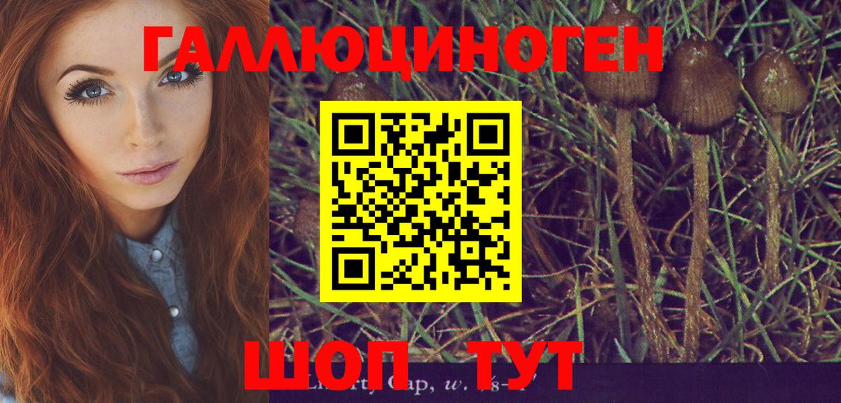 Воркута  Галлюциногенные грибы прущие грибы  Вход с VPN 